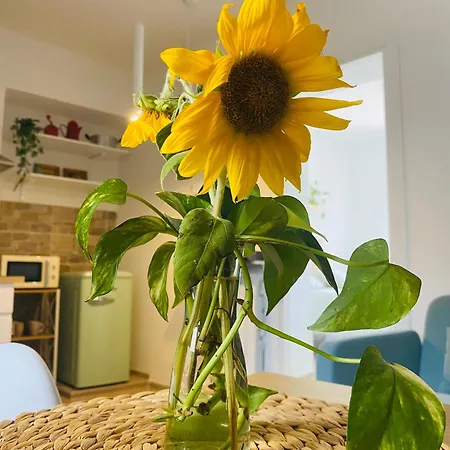 La Casina Di Viola Holiday home Posticciola